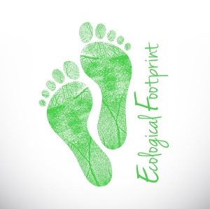 ecological footprint illustration design over a white background
